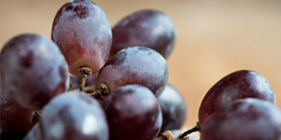 Weine  aus Portugal bei Sima-Frucht in Hohenstein-Ernstthal